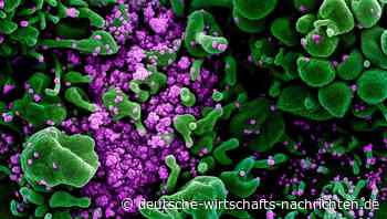 Ursprung des Corona-Virus: US-Geheimdienste sind gespalten