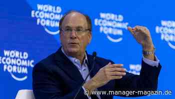 ESG: Wie ein Ex-Blackrock-Manager das Ökolabel der Finanzbranche zerlegt