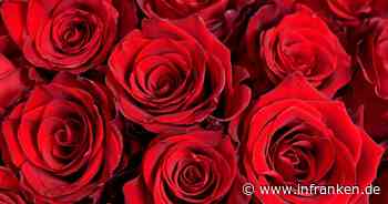 Steinbach am Wald: ANTONIA und ein großes Herz - Liebesbotschaft auf Heuballen ruiniert Tierfutter