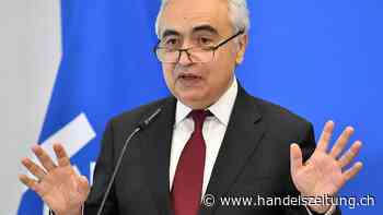 Energieagentur: "Russland hat die Energieschlacht verloren"