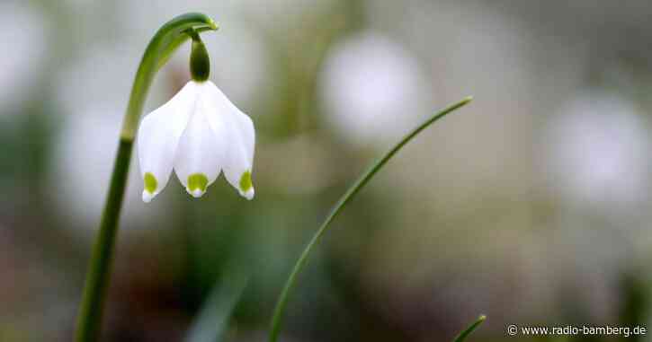 Zunehmend wechselhaftes und nass-kaltes Wetter