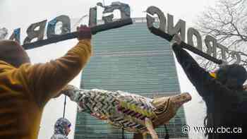 United Nations members reach accord to protect marine life on high seas