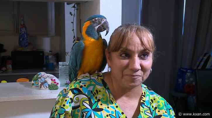 Bill would make fixing apartment AC issues a priority