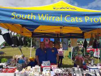 Cats Protection South Wirral looking for volunteers
