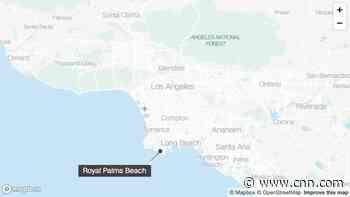 5 people shot near a gun buyback event at a Los Angeles beach