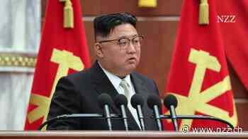 «165 Zugochsen, ein Traktor»: Warum Nordkorea wieder gegen Hunger kämpft