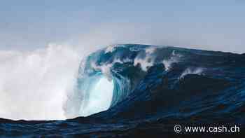 Einigung auf UN-Hochseeschutzabkommen