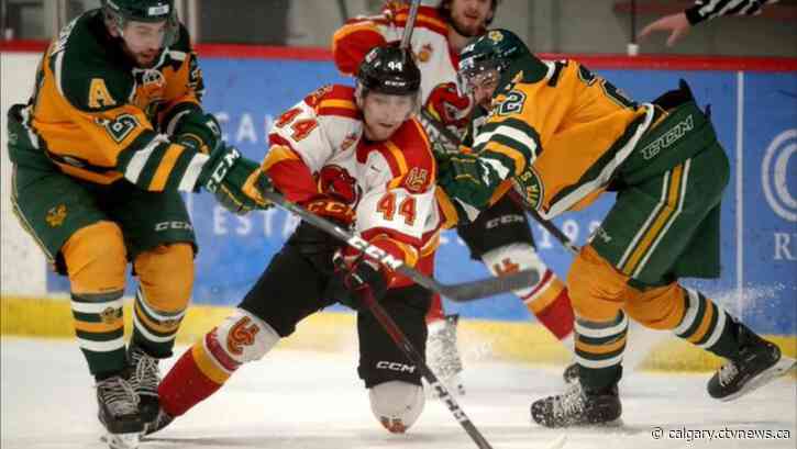 Golden Bears withstand Dino comeback to win in overtime