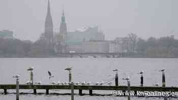 Winterliches Wetter: Frostiger Wochenstart in Schleswig-Holstein