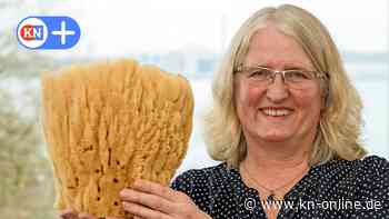 "Der Schwarm" - Kieler Forscherin findet TV-Serie besorgniserregend realistisch