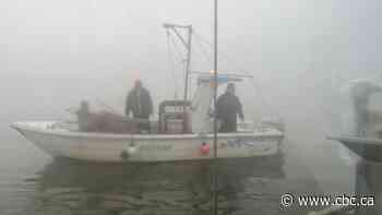 On Italy's Po River, Europe's biggest clam harvesting production preserves a way of life