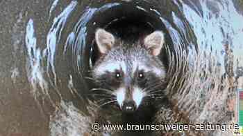 Kanalisation – Adenstedter sollten sich auf etwas einstellen