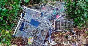 Fly-tipping or art? Photos of abandoned shopping trolleys around Hull