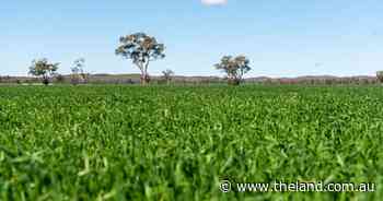 Well developed Black Range delivers productivity | Video