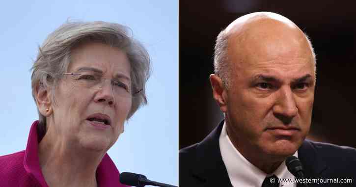 'Shark Tank' Star Gives Elizabeth Warren the Bad News: 'Look, Senator... You Are Not Investable Anymore'