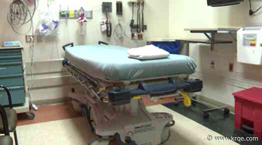 Senate committee passes controversial gender-affirming, reproductive healthcare bill