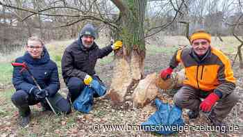 Hillerser sammeln Müll in des Bibers Wohnstube