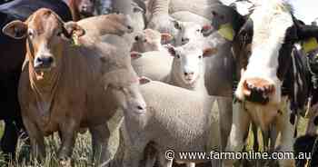 Something is driving people out of cattle and sheep