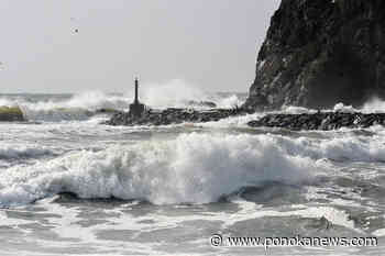 Canadian environmental groups praise UN accord to protect marine life on high seas