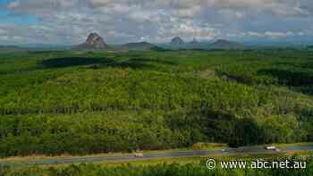 As plantation timber is harvested for new homes, a fresh view of the Glass House Mountains will be revealed