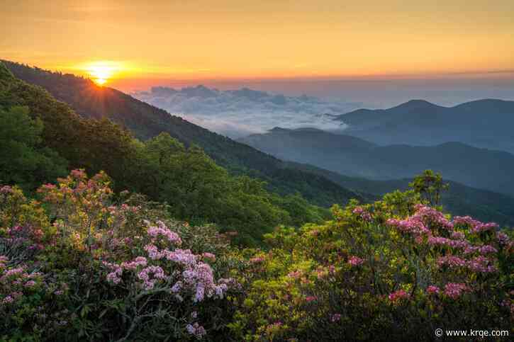 It was the most visited national park in 2022, but it isn't exactly a park