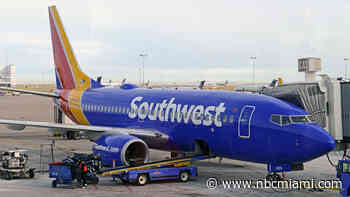 Fort Lauderdale-Bound Plane Makes Emergency Landing Back in Cuba After Bird Strike