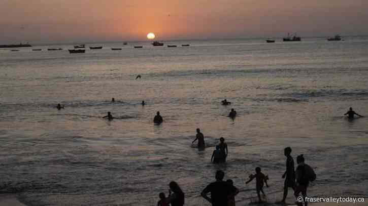 Canadian environmental groups praise UN accord to protect marine life on high seas