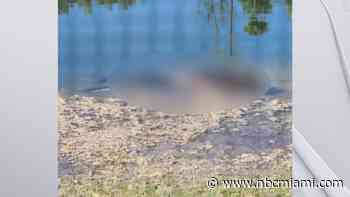 ‘Just Unimaginable': Lauderhill Homeowners Find Dead Body Floating in Backyard Canal