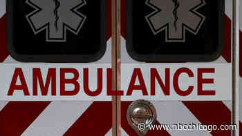 80-Year-Old Man Killed in Hampshire Township Crash, Kane County Sheriff Says