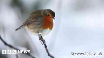 Snow warnings for north of England