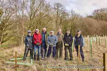 More than 4,000 trees planted by River Darwen in Samlesbury