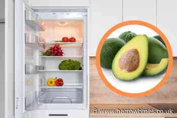 TikTok storage hack could cause fever and diarrhoea, warn experts