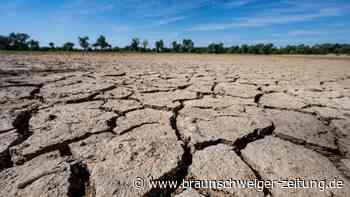 Klimawandel könnte Deutschland Hunderte Milliarden kosten