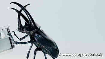 Nothing Ear (2): Vorstellung neuer In-Ears mit besserem Klang am 22. März [Notiz]