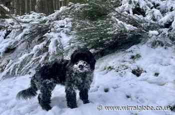 Weather warning for heavy snow issued by Met Office in north west