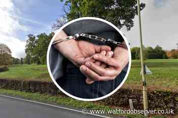 Arrest after 'GBH' Gadebridge Park, Hemel Hempstead attack