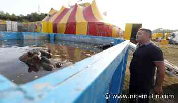 Le maire de Menton fixe ses conditions pour accueillir le cirque Zavatta