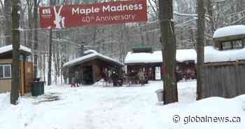 Maple Madness returns to celebrate 40 years in Kingston