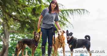 Bristol pet shop announces closure with heartfelt plea from owner to support local