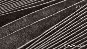 Rettungsanker für Allergiker: Filter im Auto sorgen für bessere Luft als aussen