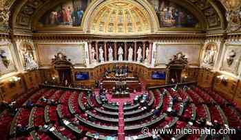 Réforme des retraites: à quoi correspond le "CDI seniors" voté par le Sénat contre l'avis du gouvernement?