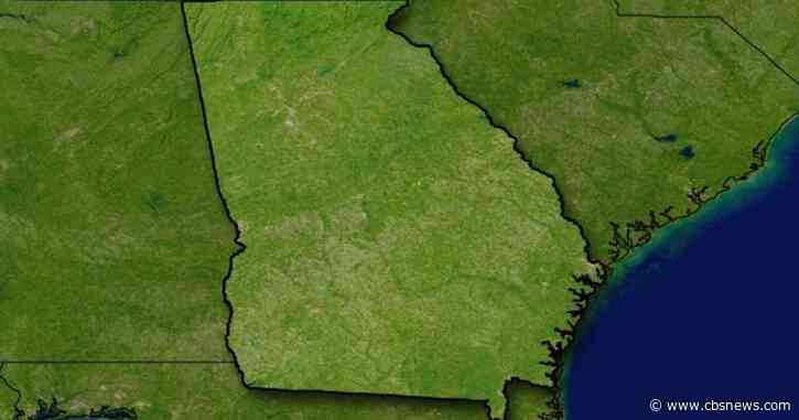 1 dead after plane crashes into a tree in north Georgia