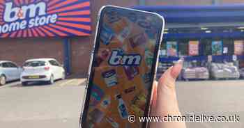 'I used B&M’s scanner in South Shields for an hour and found some real bargains'