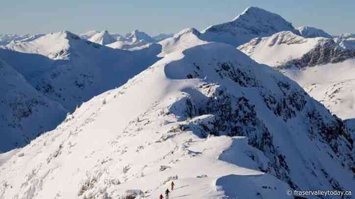 Two skiers, buried in weekend avalanches in B.C., saved by friends: Avalanche Canada