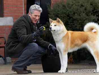 Hachiko, la struggente storia vera che ha convinto anche Richard Gere
