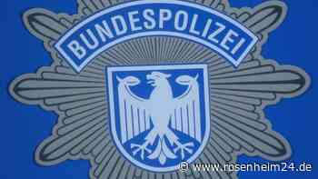 Migranten rennen vor Polizei weg – und verstecken sich im Waldstück neben A8