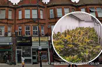 Former cannabis factory in Finchley up for auction