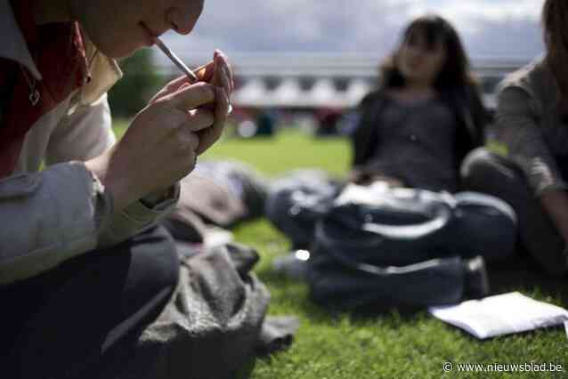 Man die cannabis in het openbaar rookt, riskeert zes maanden celstraf