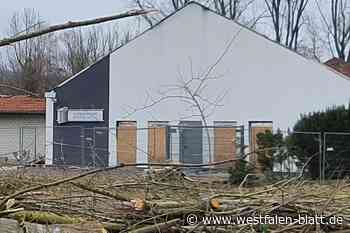 Baumfällaktion sorgt für Ärger: Brandruine Corvey auf Präsentierteller