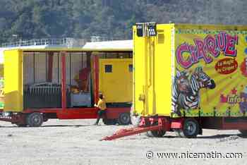 Le cirque Zavatta fera une halte dans un village de la Côte d'Azur avant d'aller à Menton